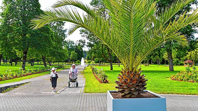 Der Kurpark Bad Dürrheim lädt auch zu einem Spaziergang unter Palmen ein – noch interessanter sind die vielen Lebewesen, die sich dort ...