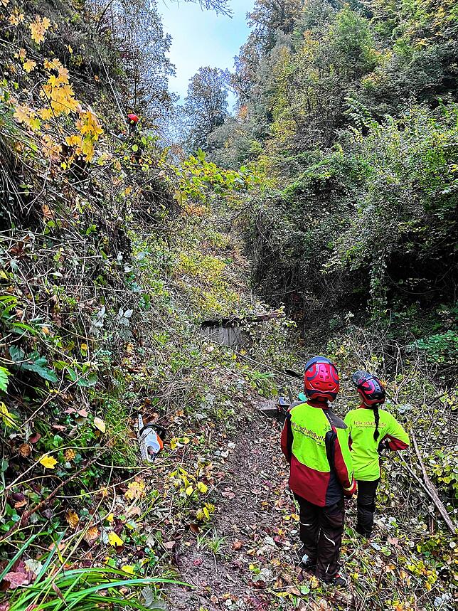 Gehölzarbeiten in der Marienschlucht. In der Bildmitte ist ein Betonfundament der alten zerstörten Steganlage zu erkennen. Der neue Steg ...