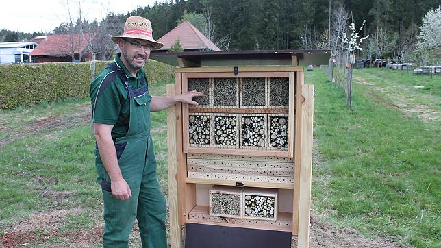 Stolz präsentiert Ansgar Barth das ausgeklügelte Wildbienenhotel.
