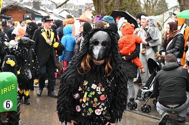 Bild 3: Die schönsten Bilder vom Fasnachtsumzug in Schwerzen: So feiern die Narren trotz Nieselregen