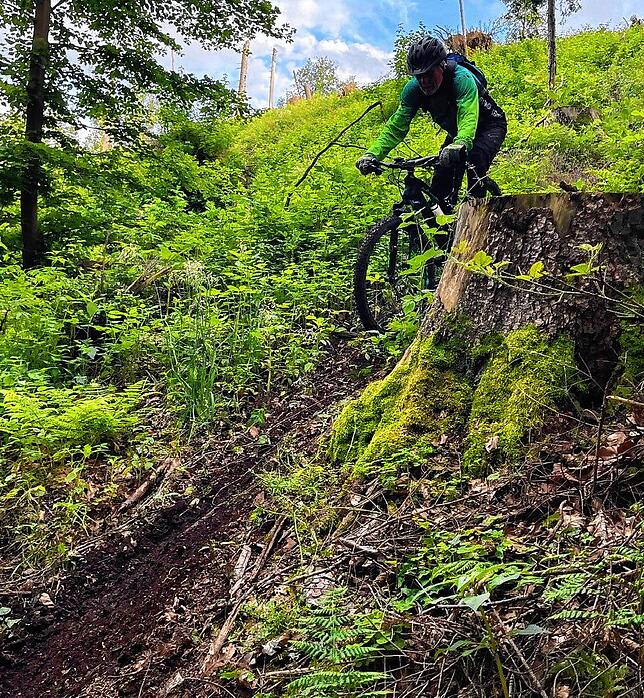 Josef Hänfling in Aktion auf einem Mountainbike-Trail.