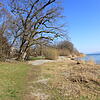 Bild :