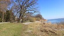 Bild : Schon bereit für die Sommersaison? An diesen schönen Stellen direkt am See soll es neue Grillplätze geben