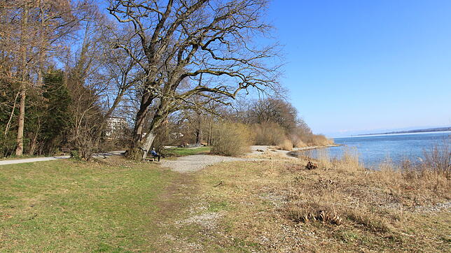 Bild : Schon bereit für die Sommersaison? An diesen schönen Stellen direkt am See soll es neue Grillplätze geben