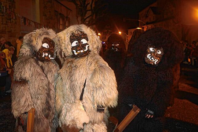 Bild 41: Jetzt geht es los! Mit dem Nachtumzug in Gottmadingen: hier gibt´s die Bilder!