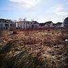 Auf dieser Brache zwischen Doniswald, Balintklinik, Cura Vital und Hermann-Voland-Straße soll das neue Hotel mit Wohnquartier entstehen.