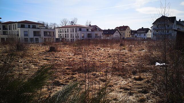 Auf dieser Brache zwischen Doniswald, Balintklinik, Cura Vital und Hermann-Voland-Straße soll das neue Hotel mit Wohnquartier entstehen.