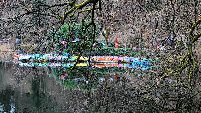 Alles ist startklar. Knospen setzen an und im Februar sehen auch schon die Tretboot im Bergsee startbereit aus.
