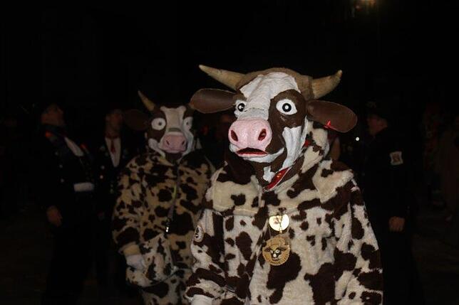 Bild 2: Bilder des große Narrentreffen der Kuhsattler in der Gemeinde Hohenfels &ndash; Teil 2