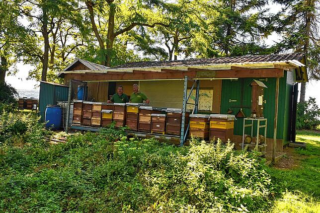 Der vereinseigene Lehrbienenstand ist im Singener Ortsteil Hausen an der Aach zu finden.