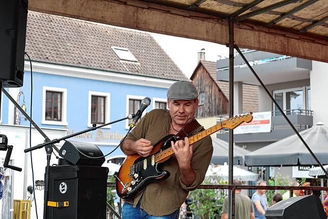 Bild 1: Zahlreiche Besucher lockt das Staader Hafenfest 2025 ans Bodenseeufer