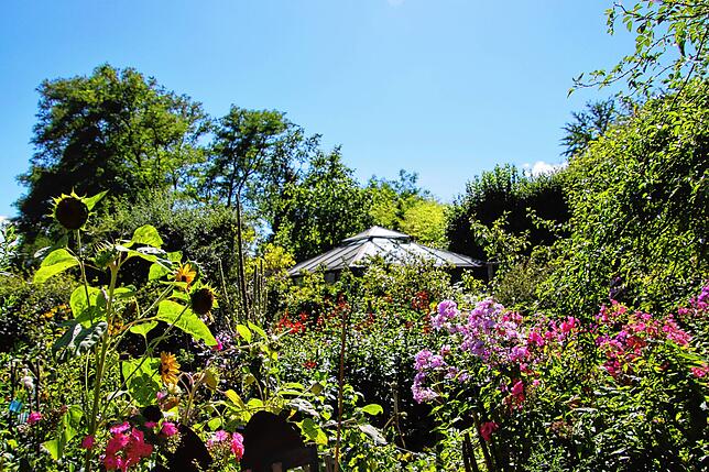 Blick auf den Garten des Mia-und-Hermann-Hesse-Hauses, der für Hessebegeisterte aus aller Welt zugänglich ist. Mehrere Personen kümmern ...
