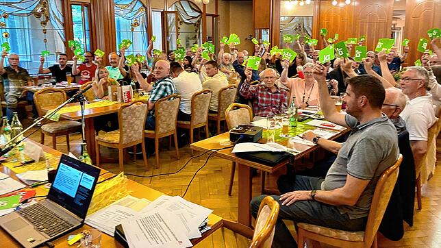 Bei den Abstimmungen waren nur grüne Karten zu sehen. Das bedeutet volle Zustimmung. Auch bei der Entlastung des Aufsichtsrats. Warum ...