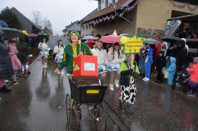 Bild 12: Nöggenschwiel 2025: Fasnacht und bunte Kostüme – Eindrücke vom Schlüchttalnarrentreffen
