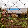 In direkter Nachbarschaft: Kleingärtner sind in Sorge um ihre Kolonie beim Gewerbegebiet. (Archivbild)