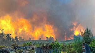 Meterhohe Flammen kommen auf das Haus zu, in dem Birgit Reuner lebt.
