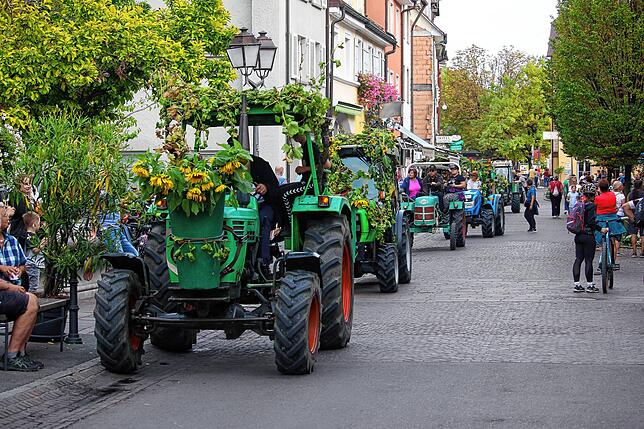 Die Winzer kommen mit ihren geschmückten Traktoren und fahren eine Runde durch die Unterstadt, bevor die letzten Zuber mit ...