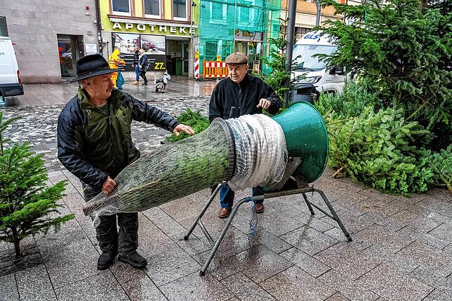 Hier wird der Baum für den Transport in ein Netz eingepackt.