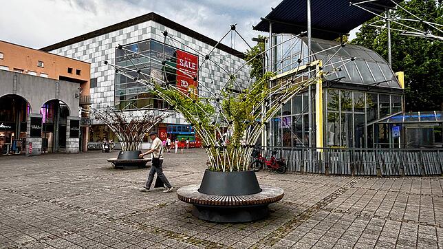 Die Pflanzenschirme auf dem Augustinerplatz werden nach Bedarf bewässert.