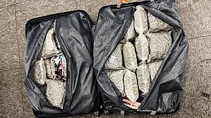 Sichergestelltes Marihuana am Flughafen Zürich.