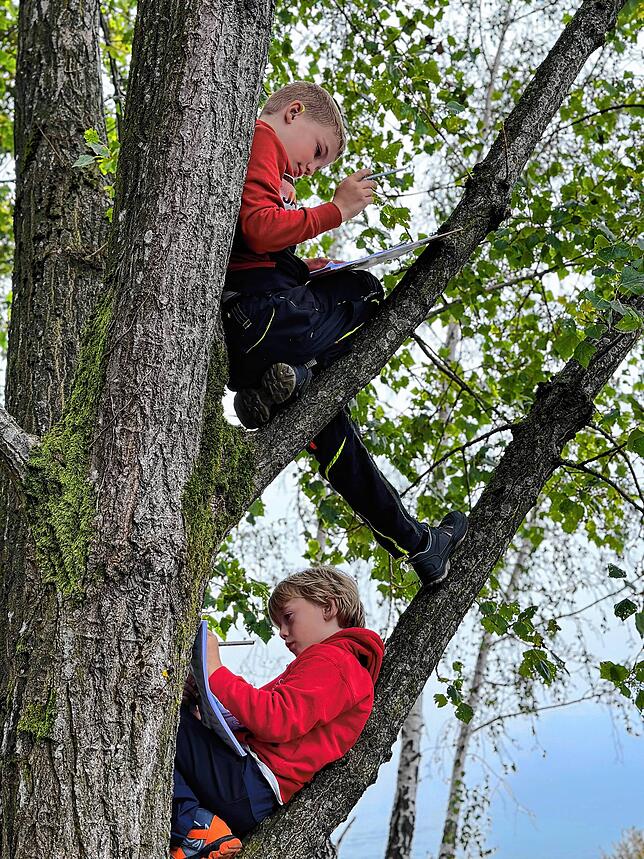 Auch Jan und Mike sitzen mit Vorliebe auf einem Baum, um ihre Aufgaben zu erledigen.