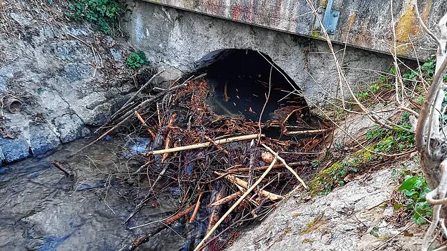Unweit von Stadenhausen hat ein Biber begonnen, unter einer Straßenbrücke einen Bau zu errichten. Das oberhalb der Brücke aufgestaute ...