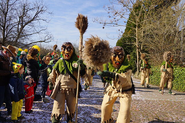 Bild 14: 43. Küssaberger Narrentreffen: Märchenhafte Fasnacht in Rheinheim