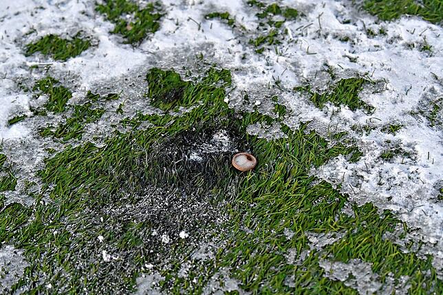 Bild 8: Brandlöcher und verschmorte Plastikhalme