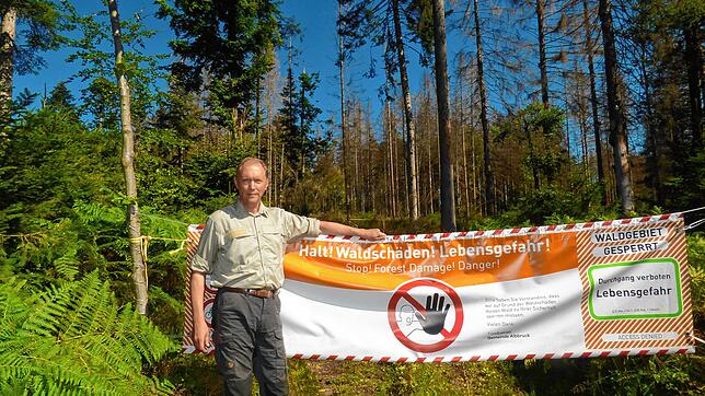 Waldumbau im Revier Albbruck: Förster Wolfgang Walz hat eine Schadfläche nördlich von Unteralpfen gesperrt. Das Totholz bleibt stehen, ...