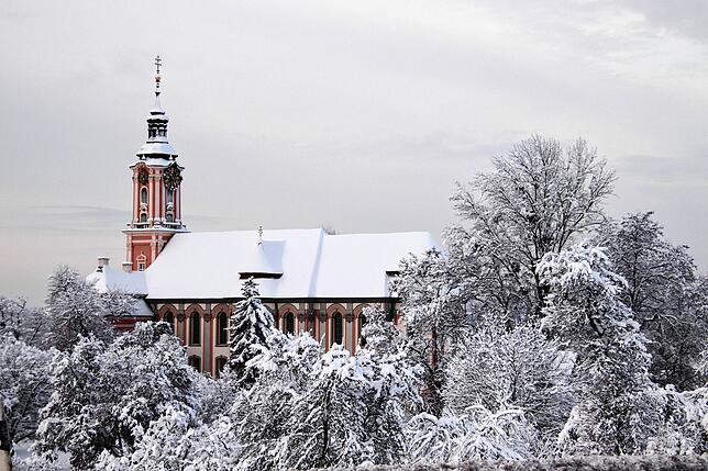Bild 10: Das kommt so bald nicht wieder: Neue Bilder aus dem Winterwunderland rund um Überlingen und Salem