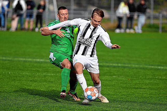 Bild 7: FC Wittlingen setzt sich mit 2:0 beim SV Herten durch &ndash; und wir haben Bilder!