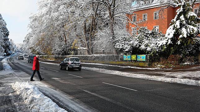 In der Mainaustraße auf Höhe Zeppelinstraße soll eine Mittelinsel gebaut werden. Das ein ein Projekt des Handlungsprogramms Fußverkehrs, ...