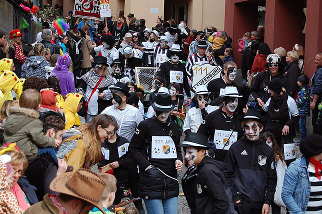 Bild 8: Bilder vom Fasnachtsumzug in Laufenburg (2)