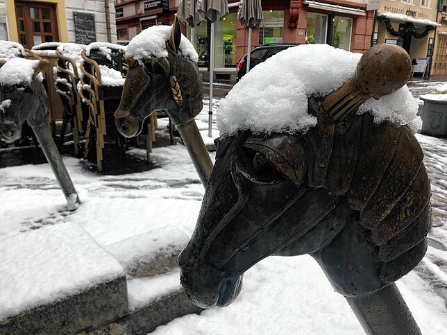 Über Nacht hat sich eine Schneedecke über Waldshut gelegt. Impressionen aus der verschneiten Kaiserstraße.