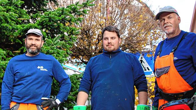 Hubert Futterknecht, Michael Ebner und Norbert Eichkorn (von links) nach dem Aufstellen des Baumes an der Hauptstraße in Tiengen.