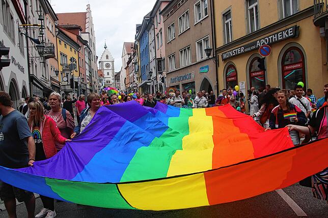 Bild 1: Der Überlinger CSD in Bildern, und dazwischen eine kleine Gruppe AfD