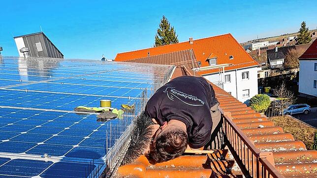 Mühseliges Geschäft: Ein Tierschützer der Stadttaubenhilfe Villingen-Schwenningen ist dabei, Tauben unter einer Photovoltaik-Anlage ...