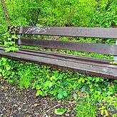 Eine der Bänke im Konstanzer Lorettowald.