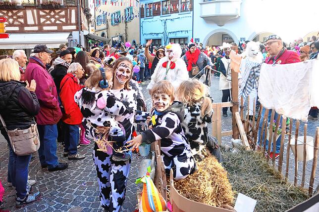 Bild 11: Meersburger Fasnacht: Die schönsten Bilder vom Kärrelerennen 2025