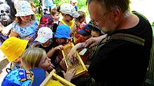 Ganz nah dran und kein bisschen ängstlich sind die Ferienkinder, als ihnen Imker Helmut Finkbeiner die Bienenwabe mitsamt Königin zeigt. ...