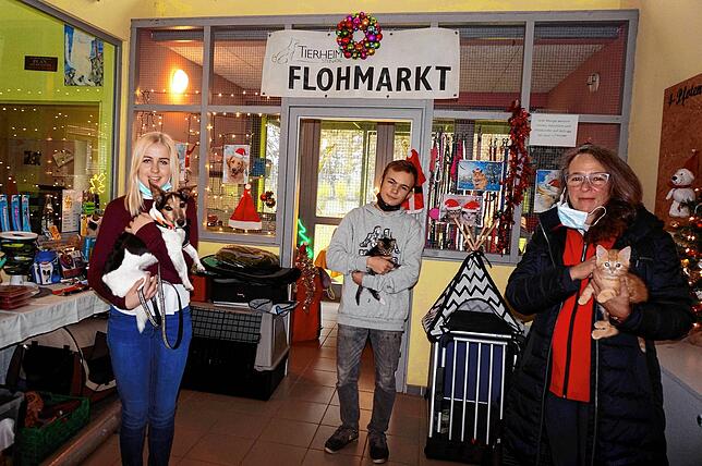 Mit Weihnachtsflair: Saskia Schätz (von links, Vorsitzende Tierschutzverein Waldshut-Tiengen), Joshua Mangelsdorf (Auszubildender) und ...