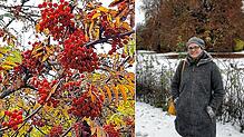 Noch bis in den Dezember sammelt und verwendet Kräuterpädagogin Jeanette Becker die Früchte der Eberesche. Allerdings ist bei den ...