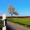 Zahlreiche freistehende Leitpfosten wie hier an der K&nbsp;6165 zwischen Stockach und Wahlwies tragen jetzt blaue Reflektoren. Bild: ...