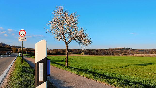 Zahlreiche freistehende Leitpfosten wie hier an der K&nbsp;6165 zwischen Stockach und Wahlwies tragen jetzt blaue Reflektoren. Bild: ...