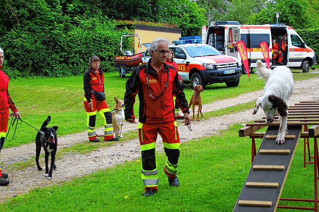 Zum 50. Jubiläum der DLRG-Ortsgruppe Engen war auch die Rettungshundestaffel mit dabei und zeigte den Besuchern, wie geschickt ihre ...