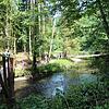 Tourismus in Bonndorf: Die Wutachschlucht ist bei Wanderern ein beliebtes Ziel.