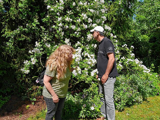 Andrea und Stefan Walther aus der Nähe von Schramberg ließen den Duft der Rosen auf sich wirken.
