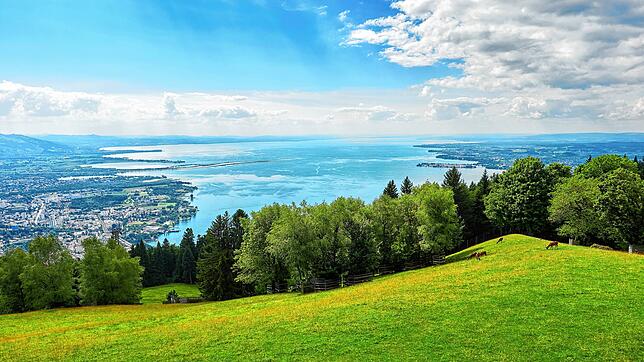 Vom Pfänder haben Besucher einen fantastischen Ausblick auf den Bodensee.