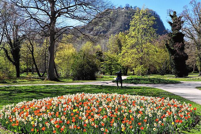 Heute steht, neben den schön bepflanzten Blumenbeeten, die Skulptur des Dichters Joseph Viktor von Scheffel im Stadtpark.