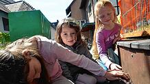 Elisa, Marlena und Matilda streicheln einen Stallhasen.